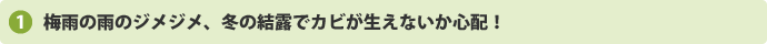 梅雨の雨のジメジメ、冬の結露でカビが生えないか心配！